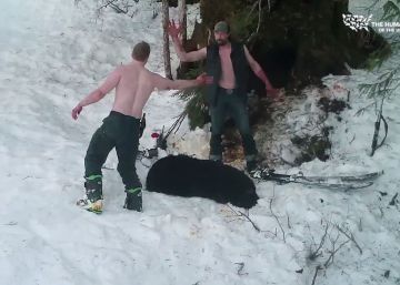 Un padre y su hijo matan ilegalmente en Alaska a una osa y sus cachorros mientras hibernaban
