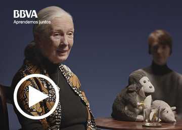 Jane Goodall: “Tenemos intelecto. ¿Pero somos tan inteligentes?”