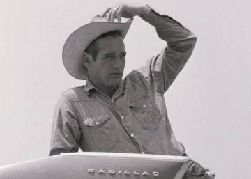 Paul Newman, con camisa y pantalón vaquero sobre un Cadillac en el rodaje de 'Hud, el más salvaje entre mil' en Texas en 1963.rn rn 