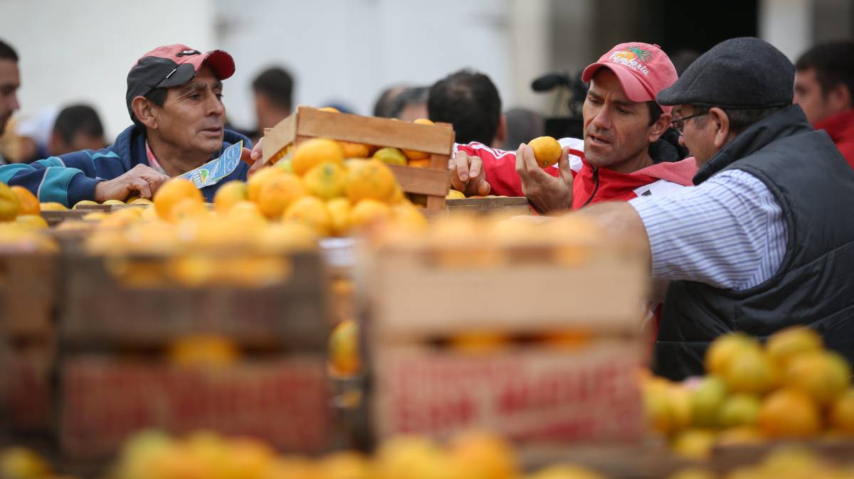 Productores regalan fruta gratis en la Plaza de Mayo.