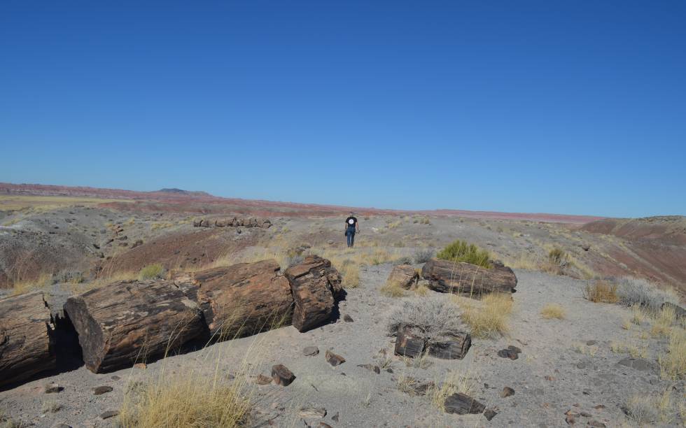 Entre las zonas condenadas aal avance de la sequÃ­a estÃ¡ el ya seco Parque Nacional del Bosque Petrificado de Arizona, en EE UU.