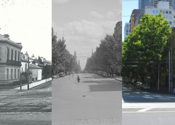 El Verde: la solución olvidada para salvar el planeta