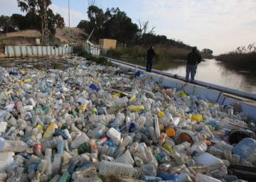 Un mar de plásticos se amontona en la desembocadura del Segura