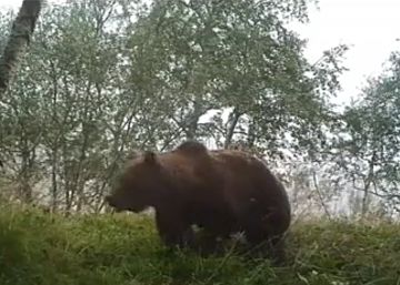 ‘Claverina’ ha demostrado que sabe qué es la Unión Europea