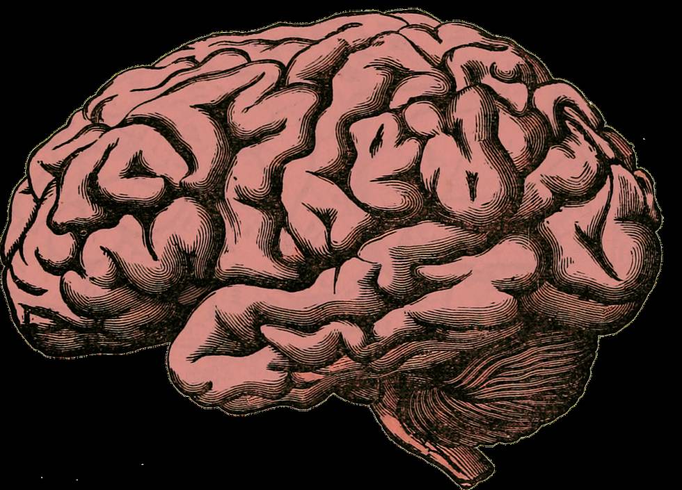 Los malos usos de la neurociencia