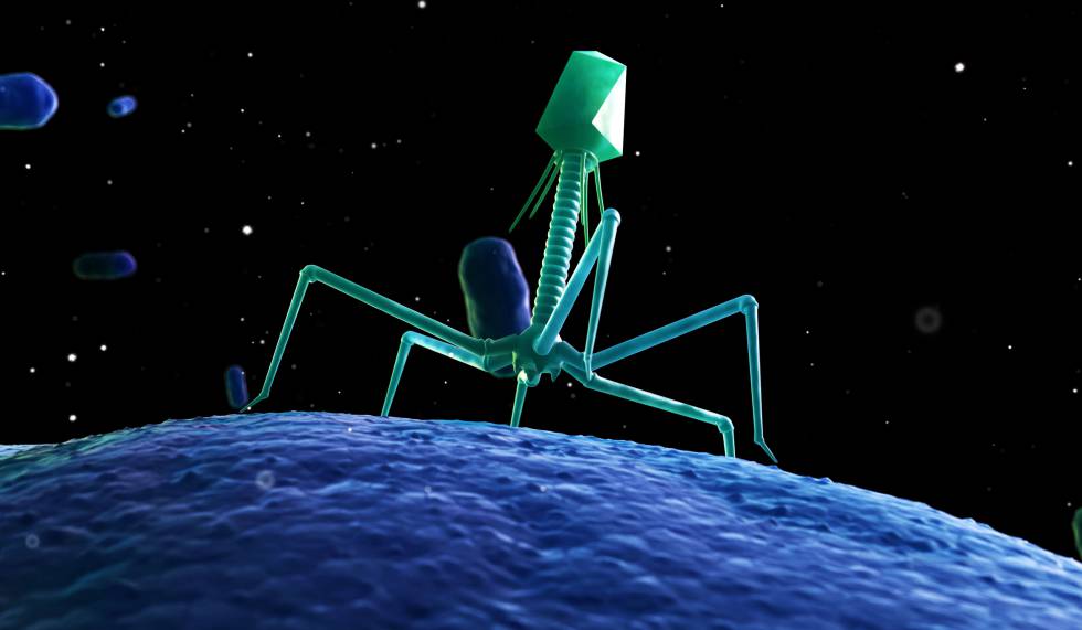 Representação artística de um fago atacando a uma bactéria