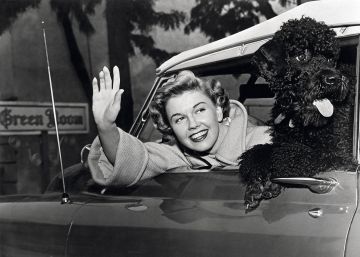 Doris Day, un espejismo colectivo