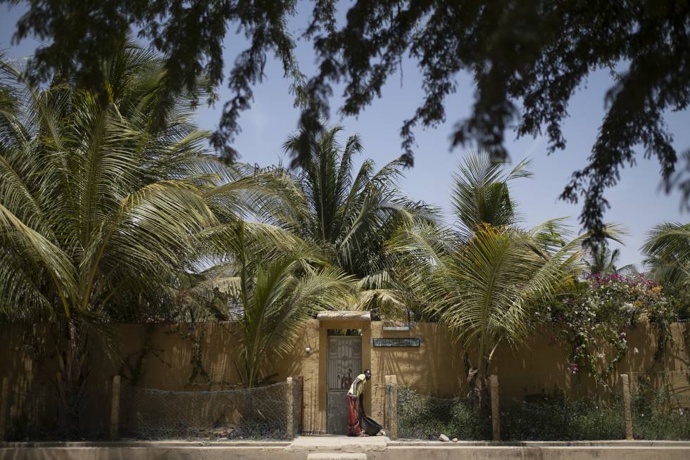 Bango, el vivero de Saint Louis