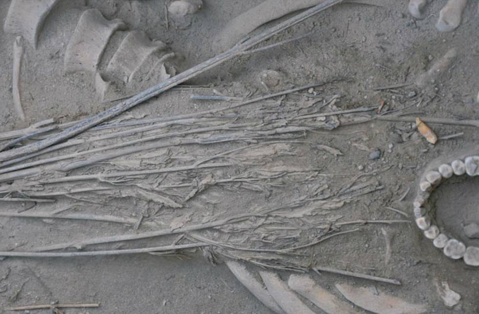 Pesquisadores chineses encontraram caules de maconha usados quase como um sudário em uma tumba no antigo oásis de caravanas de Turfan. Com cerca de 2.500 anos, permitiu comparar sua composição com os restos encontrados nos braseiros.
