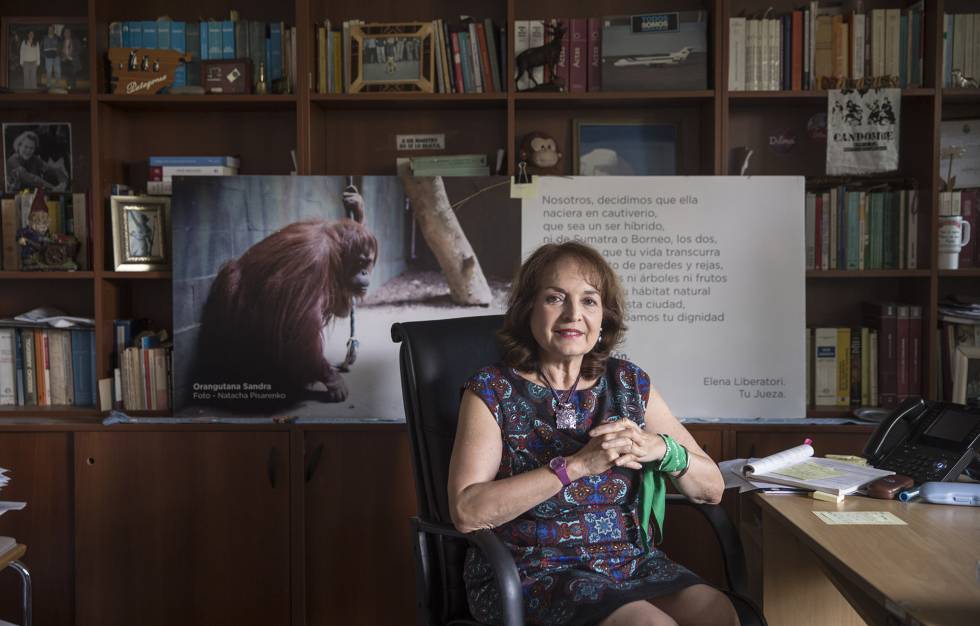 A juíza argentina Elena Liberatori, em seu gabinete.