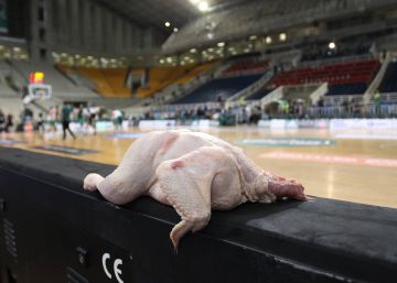 Alimentación y semántica