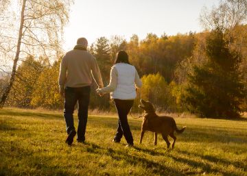 Un juzgado de Murcia desestima una demanda de copropiedad de un perro