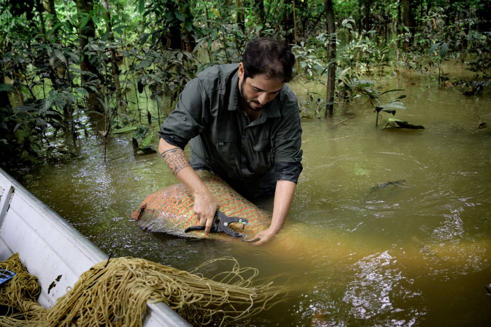 João Campos-Silva, ecologista brasileño que ha desarrollado un plan para salvar a una especie en peligro de extinción del Amazonas. (© Rolex Marc Latzel).