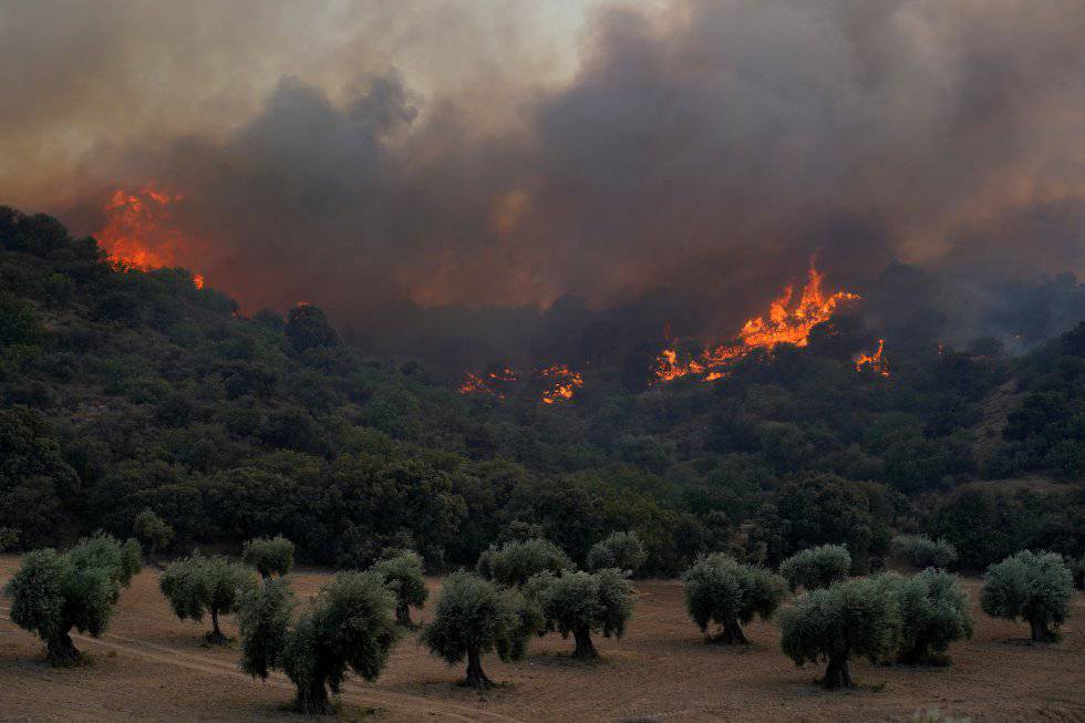 The fire in the Almorox area in Toledo,