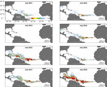 Evolución del nuevo mar de sargazos en julio, el mes de su mayor expansión.