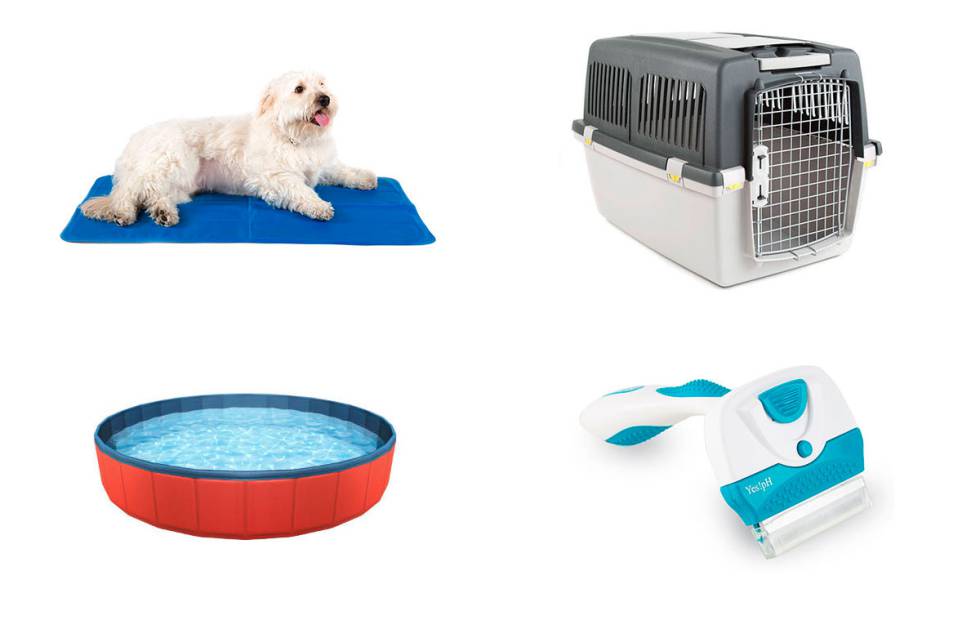 Comercial Establecimiento Elección 13 accesorios baratos para refrescar a tu mascota y llevarla de ...