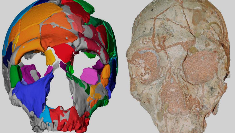 homo sapiens grecia