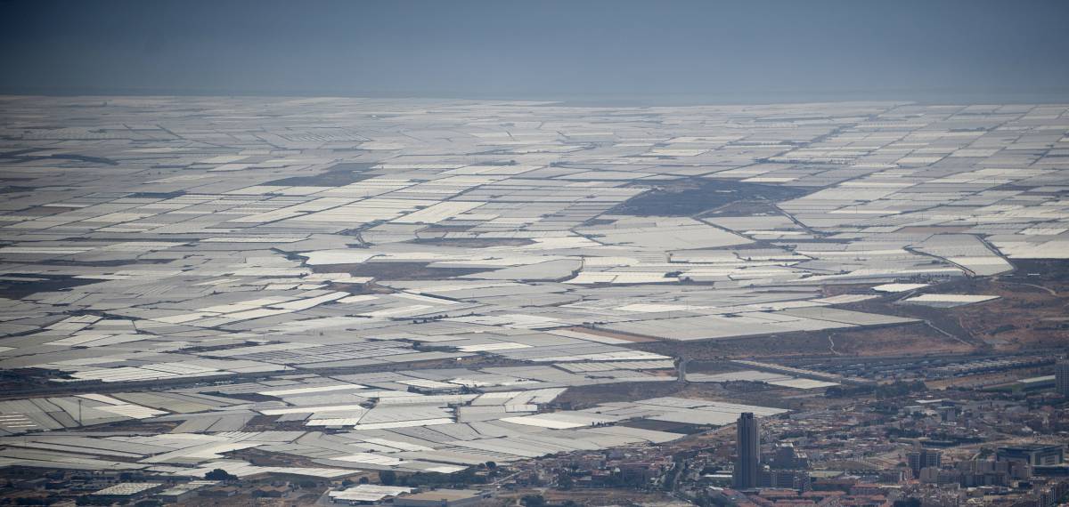 Vista aérea de los invernaderos de El Ejido en julio.