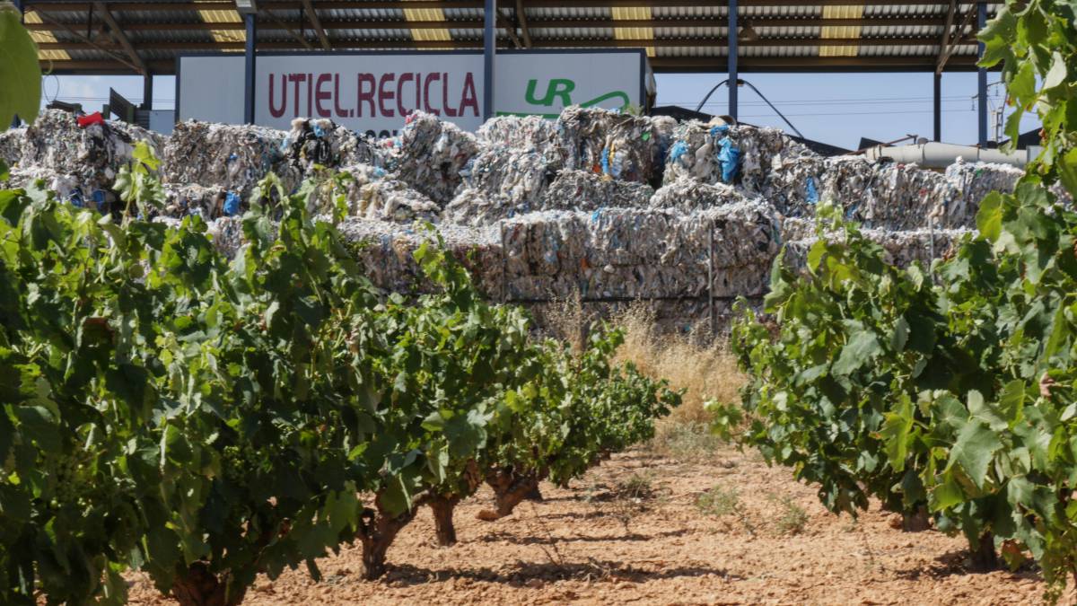 Vista del vertedero ilegal de Utiel desde los viñedos colindantes.
