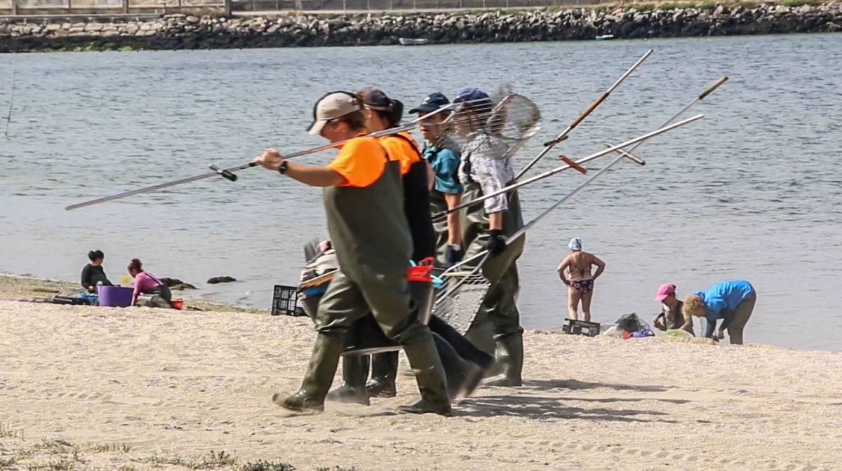 Un grupo de mariscadoras recorren la playa de Compostela tras una jornada de limpieza.