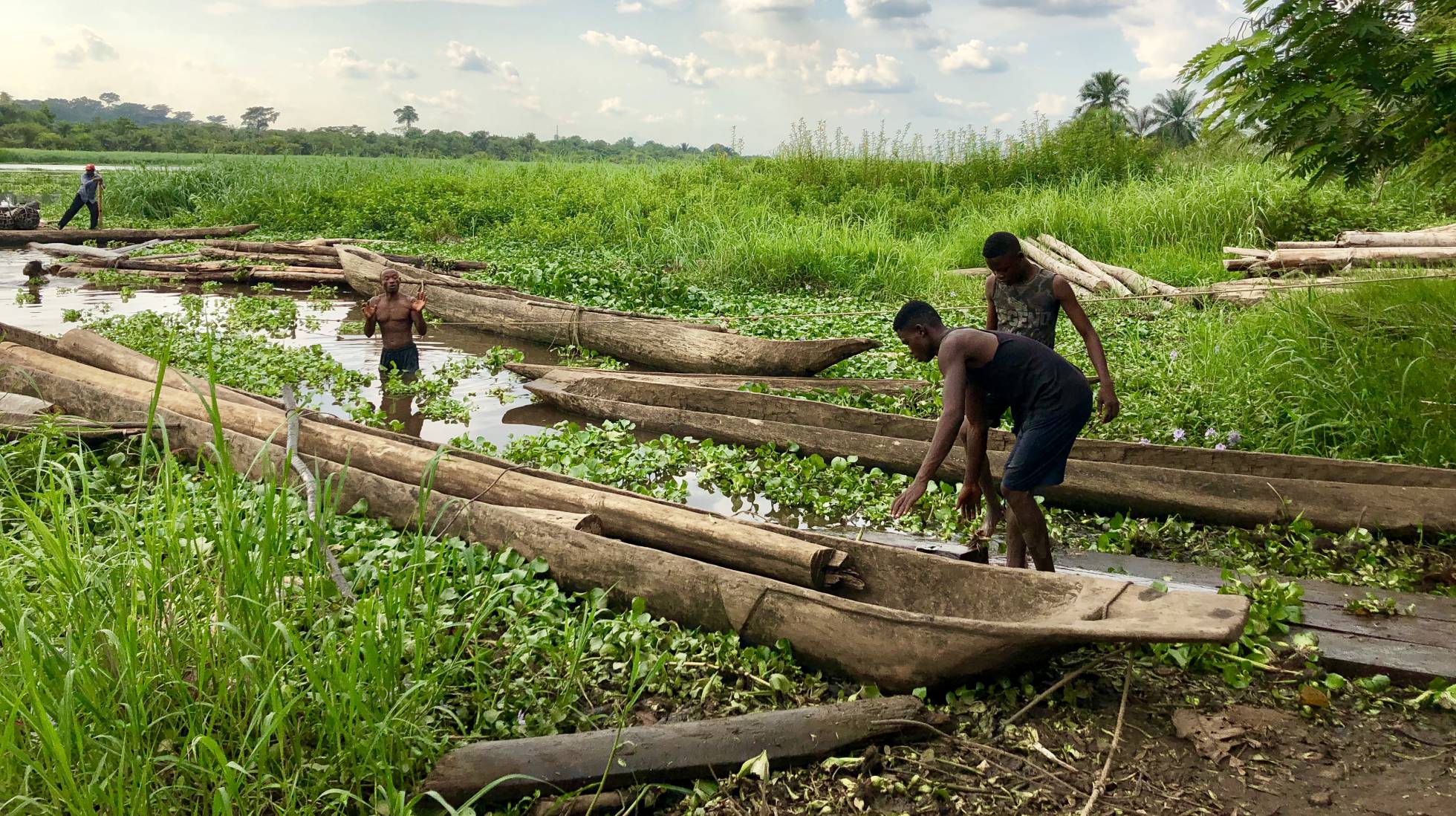 Fotos: Selva del Congo: nuevos investigadores para viejos enigmas ...