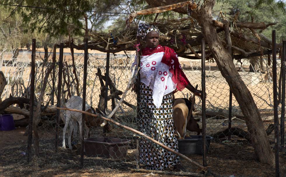 Así ayuda España a un vecino