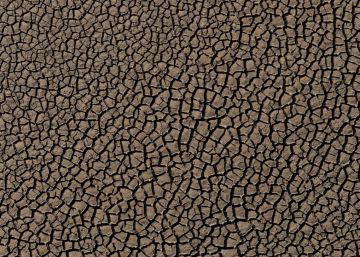 Arréglense, pendejos