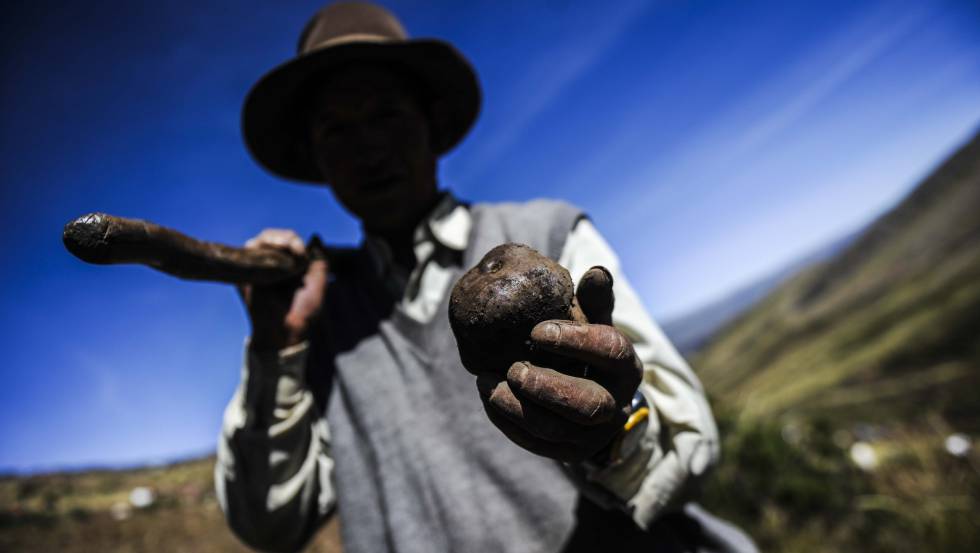 cambio climatico