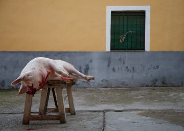 La vida es difícil para todos