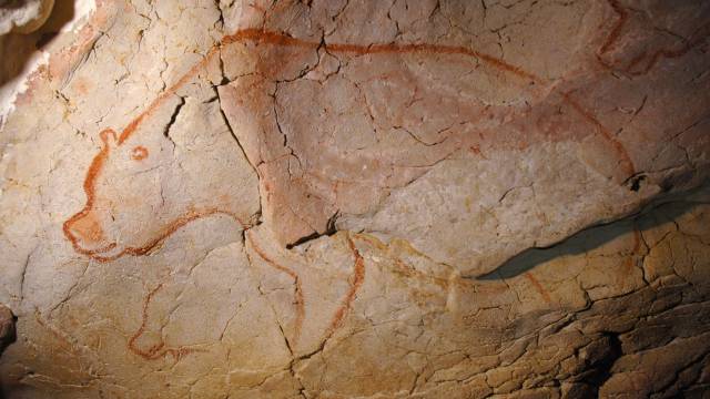 Un oso cavernario pintado en la cueva de Chauvet.