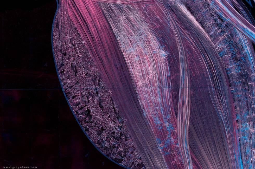 Parte de la zona caliente posterior del cerebro, retratada en 'Self Reflected' (2014-2016), obra artística del neurocientífico Greg Dunn y el físico Brian Edwards sobre la consciencia humana.