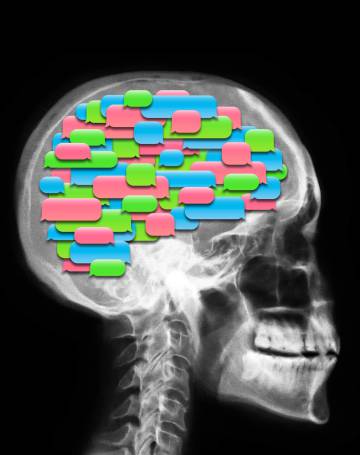 cerebro humano