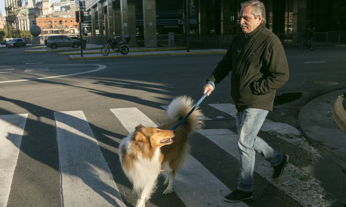 Fernández pasea con su perro por Buenos Aires antes de emitir su voto en las primarias del 11 de agosto.