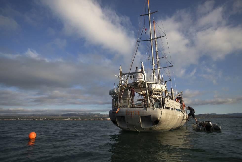 El velero 'Tara', donde se realiza la investigación, fondeado en frente el puerto de la Amposta, cerca a la desembocadura del rÃo Ebro.rn rn