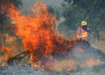 Los incendios en la selva amazónica