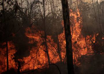 Las llamas devoran cientos de miles de hectáreas en Bolivia y Paraguay