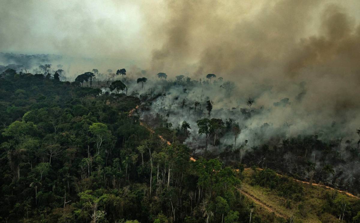 El incendio forestal en la Amazonia brasileña.