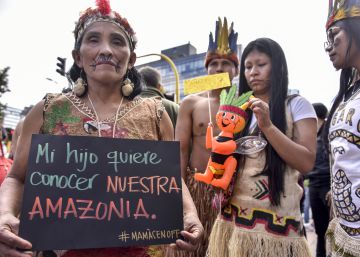 Lo que nos enseña el desastre natural en la Amazonia