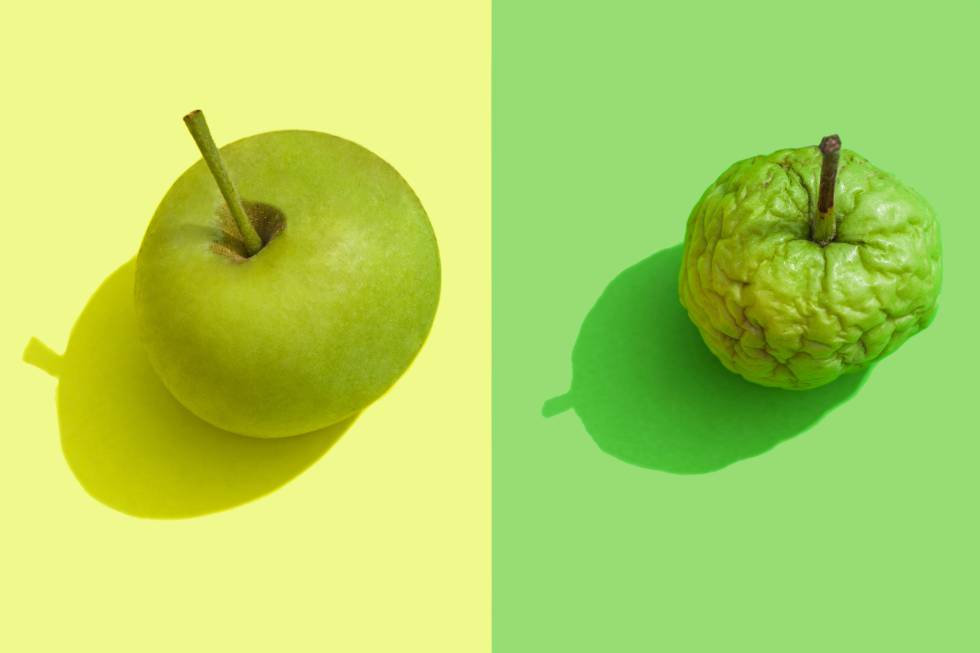 Я хочу зеленое яблоко прямо. 2 Яблока психологический Мем. Я хочу зеленое яблоко прямо сейчас.