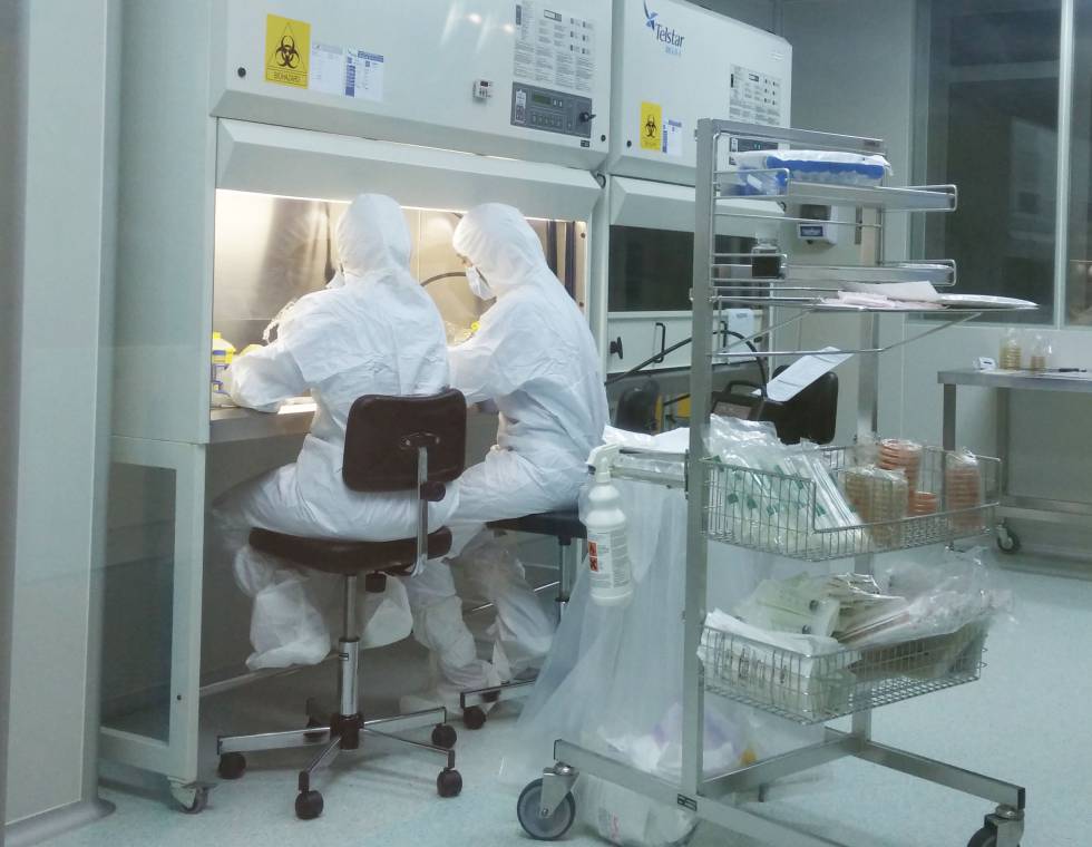 Paula Río and Susana Navarro manipulate stem cells of a patient in the sterile room of Ciemat.