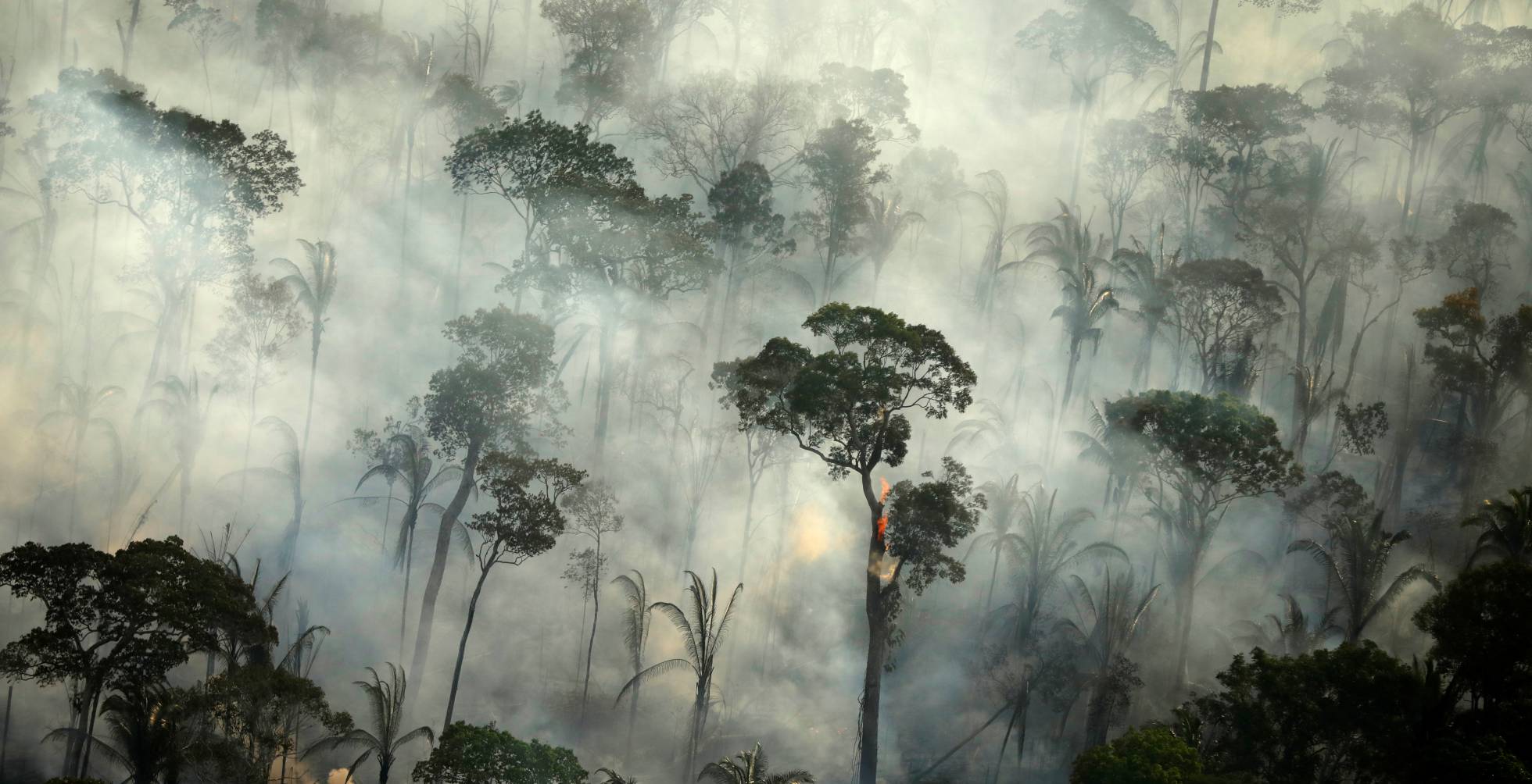 Resultado de imagen de incendios amazonas