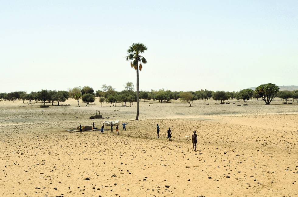 Sahel.  Un paisaje desértico en esta región que une África del Norte con la zona subsahariana.