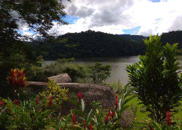 San Martín y la salvación de los bosques del Amazonas