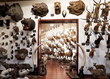 El arca de Noé de la caza