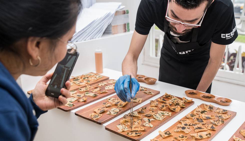 Un cocinero prepara la mesa con insectos fritos.