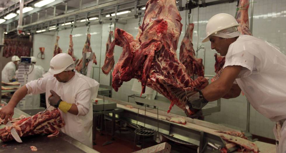 Workers of a meat company
