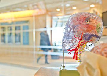 Un modelo matemático realista para explicar la visión