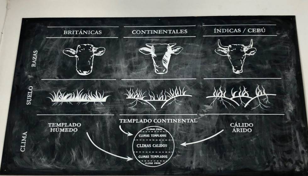 Parrilla Don Julio, el aula de las carnes argentinas