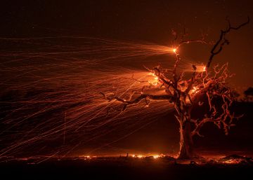 Las imágenes del día, 30/10/2019