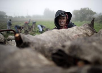 La vida en el campo de los agricultores costarricenses